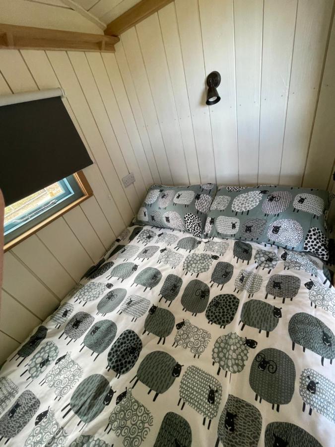 The Shepards Hut Apartamento Llwyn-Dafydd Exterior foto